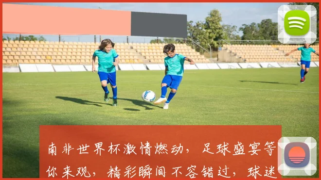 南非世界杯激情燃动，足球盛宴等你来观，精彩瞬间不容错过，球迷狂欢盛宴
