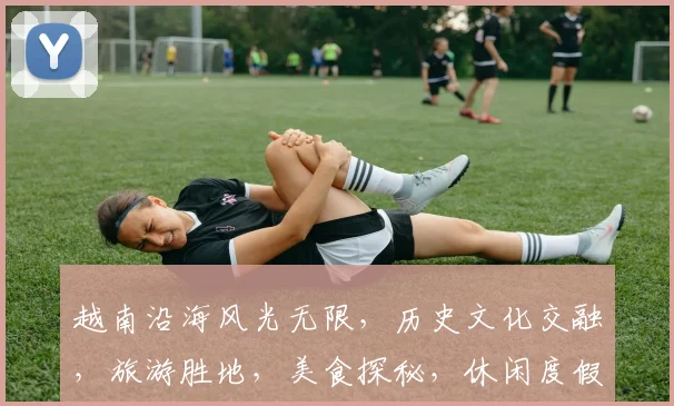 越南沿海风光无限，历史文化交融，旅游胜地，美食探秘，休闲度假胜地，值得一游。