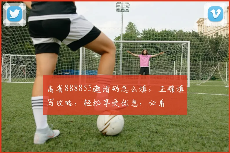 高省888855邀请码怎么填，正确填写攻略，轻松享受优惠，必看