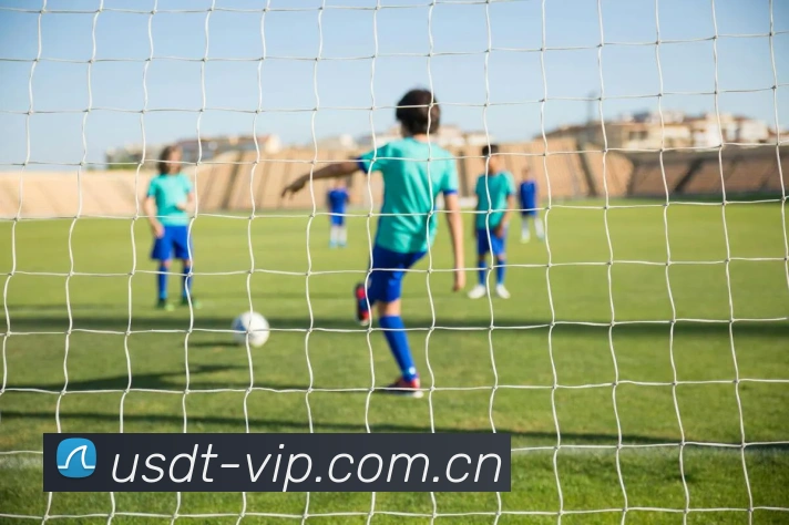 USDT博彩网站安全可靠2026发展历程